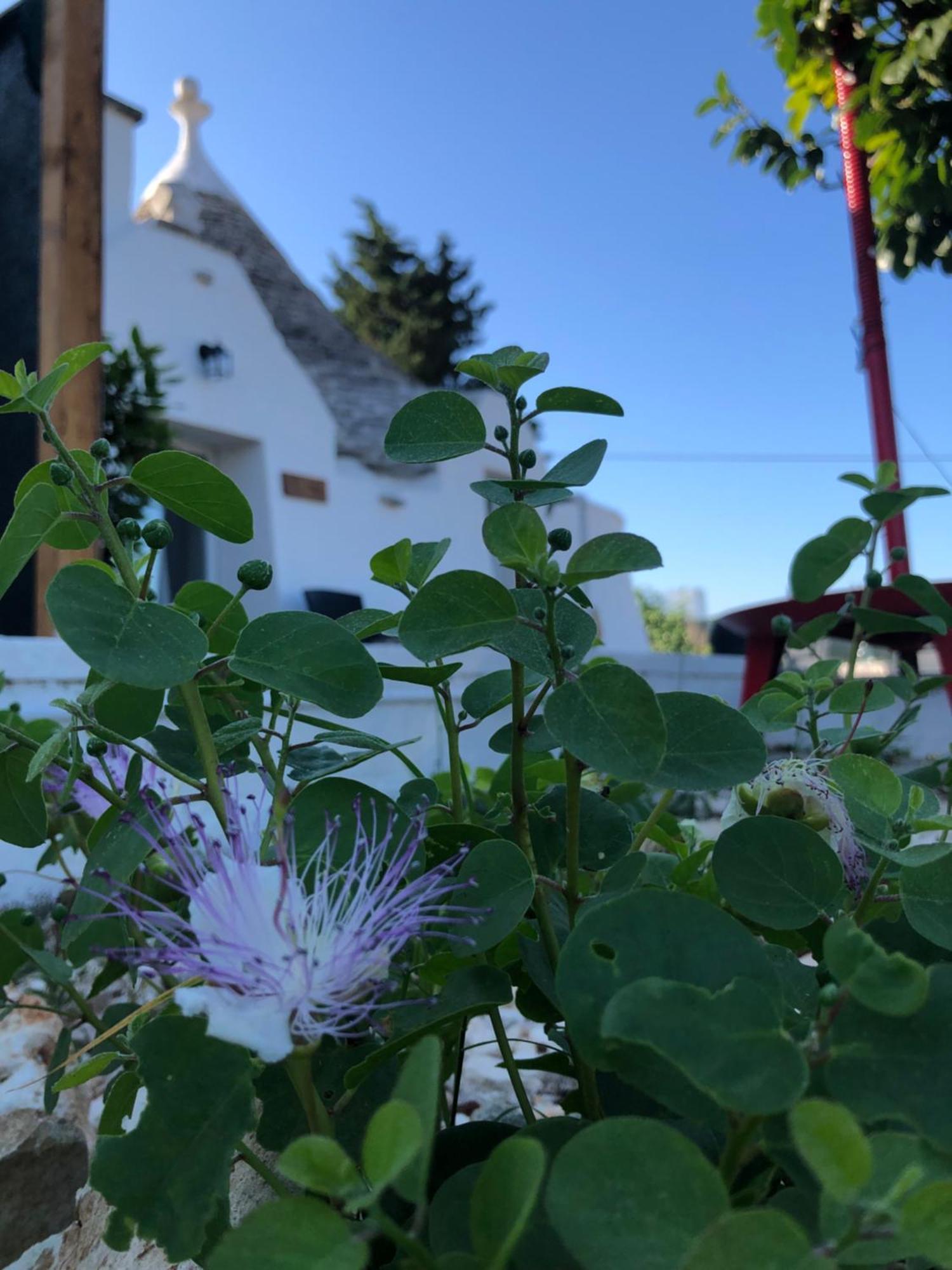 Trullo Trilli Puglia Villa Мартина Франка Екстериор снимка