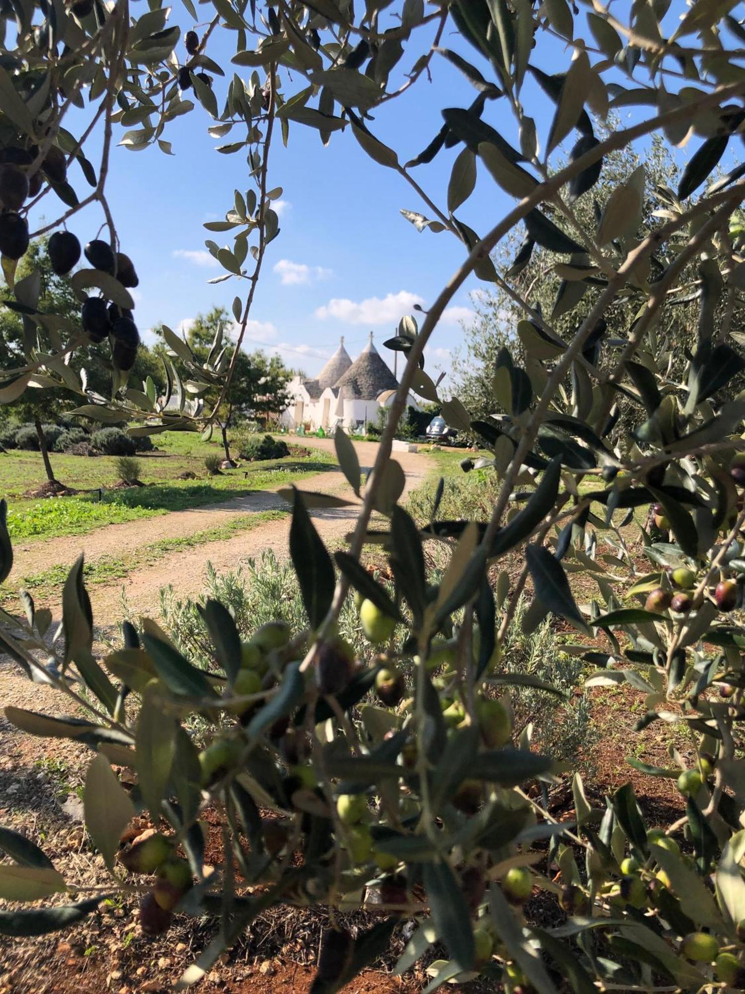 Trullo Trilli Puglia Villa Мартина Франка Екстериор снимка