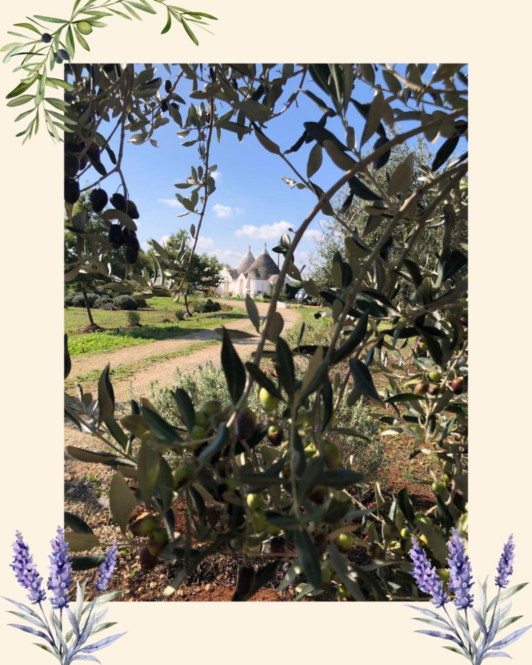 Trullo Trilli Puglia Villa Мартина Франка Екстериор снимка